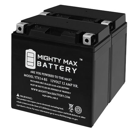 Mighty Max Battery
